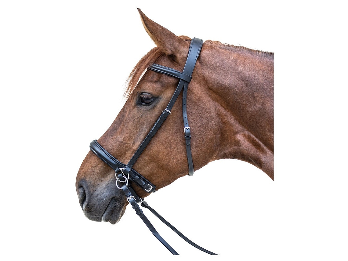 Freio Sem Bit Castanho Ponystar