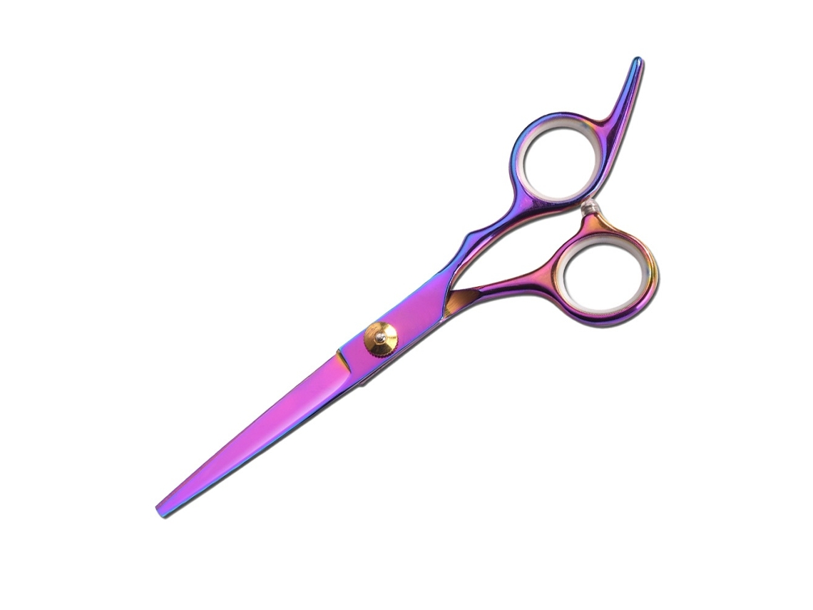 Tesoura De Cabelo Elysve Em Aço Inoxidável, 6 Polegadas, Corte Preciso, Para Salão E Uso Doméstico