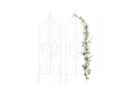 Treliça De Jardim De Metal Para Rosas E Plantas Trepadeiras