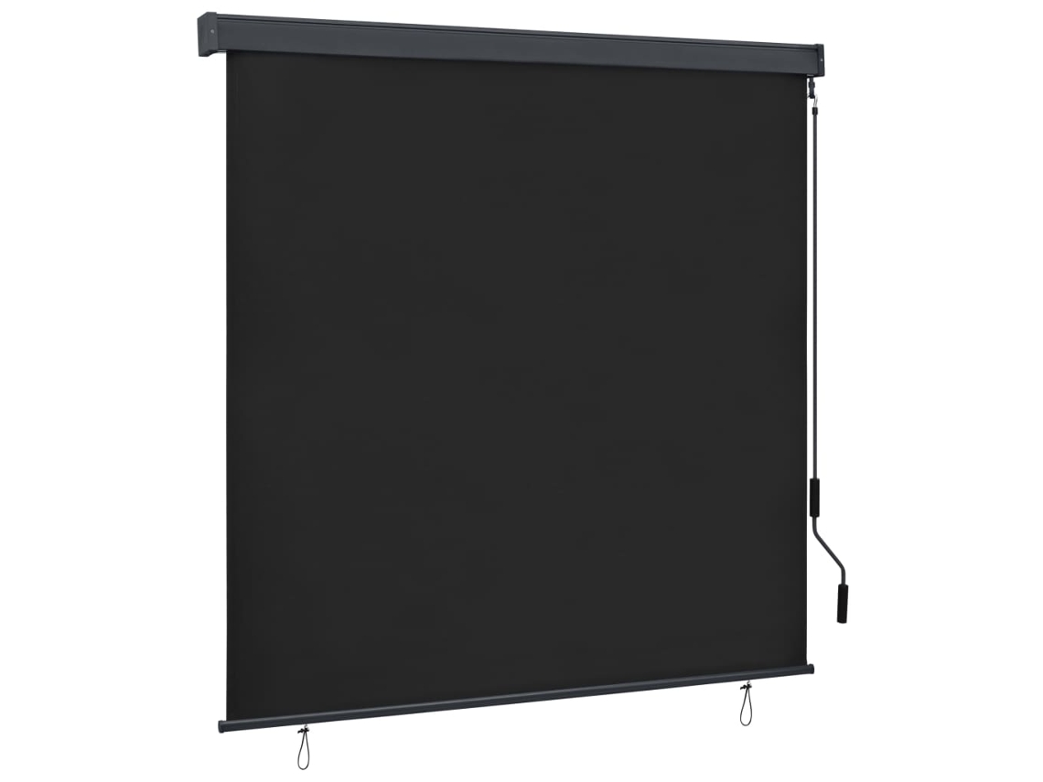 Outdoor Roller Blind, Outdoor Roller Blinds Vidaxl Antracite Tecido (160 X 250 Cm)
