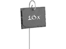 Conjunto de 10 Plantas de Ardósia, com Identificação Individual de Cada Planta. AQUAFORGE