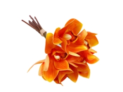 Decor Orquídea Falsa Laxiscreed Laranja, 6 Ramos, Decoração Natural Para Ambientes