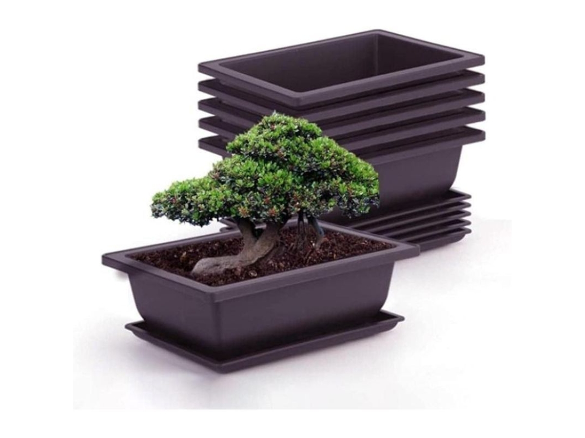 Conjunto de 6 vasos quadrados de plástico com pires para bonsai e suculentas, jardim, sala de estar e escritório.