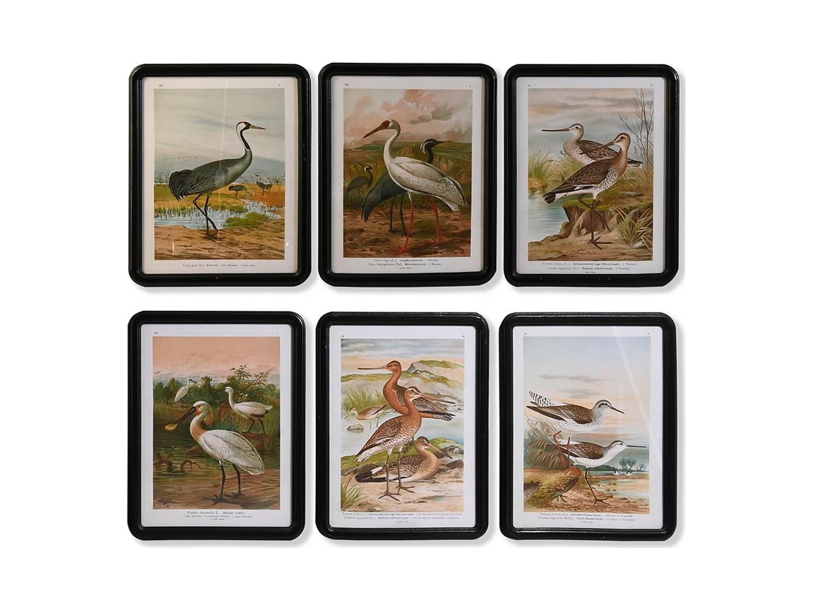 Pintura DKD HOME DECOR (Cristal - Multicor)