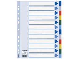 15262 Índice Tab Blank Divider Com Aba Multicolor Polipropileno Esselte (pp)