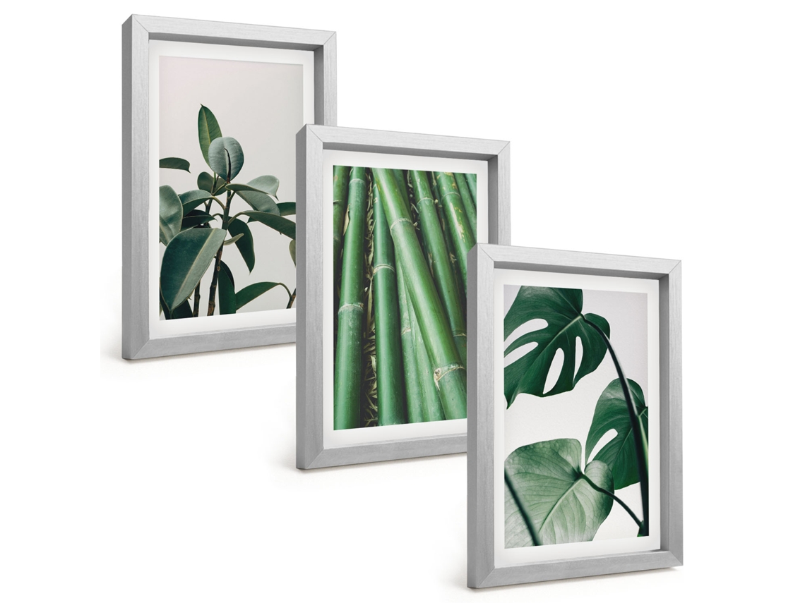 Composição De Quadros Hastes De Bambu E Folhas De Monstera Espelharte (3 Peças 20x30 Cm)