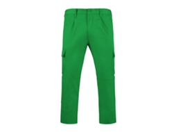 Calças Largas ROLY (40 - Verde)
