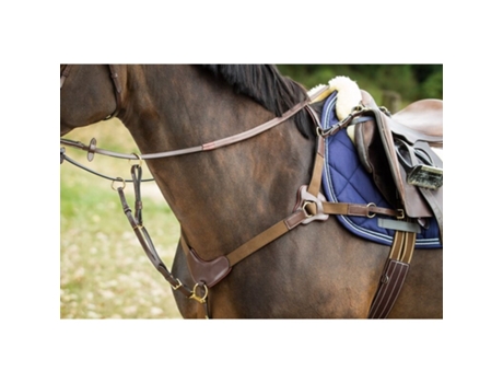 Coleira de caça para cavalos HFI 5 Points