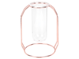 Vaso de Vidro Transparente para Plantas Hidropônicas | S/MARCA