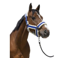 Cabeçada Cosy Azul Fullnorton Equestrian
