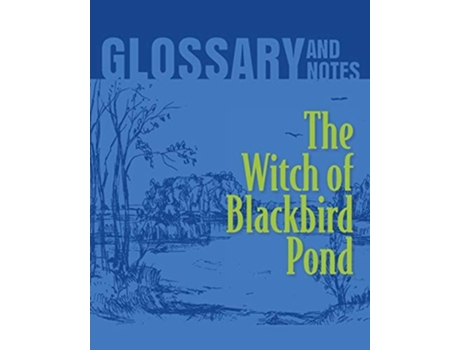 Livro The Witch Of Blackbird Pond Glossary And Notes The Witch Of Blackbird Pond De Heron Books (inglês)