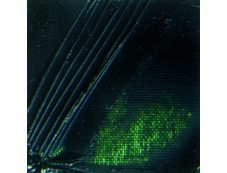Pintura de Ã“leo PEBEO Studio Fine Oil Paint Verde 200Ml Youdoit