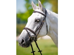 Encosto de Cabeça Browband-Licol Branco TATTINI