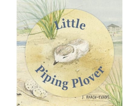 Livro Little Piping Plover de Joanne RoachEvans (Inglês)