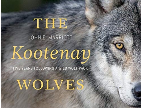 Livro Kootenay Wolves de John E Marriott (Inglês - Capa Dura)