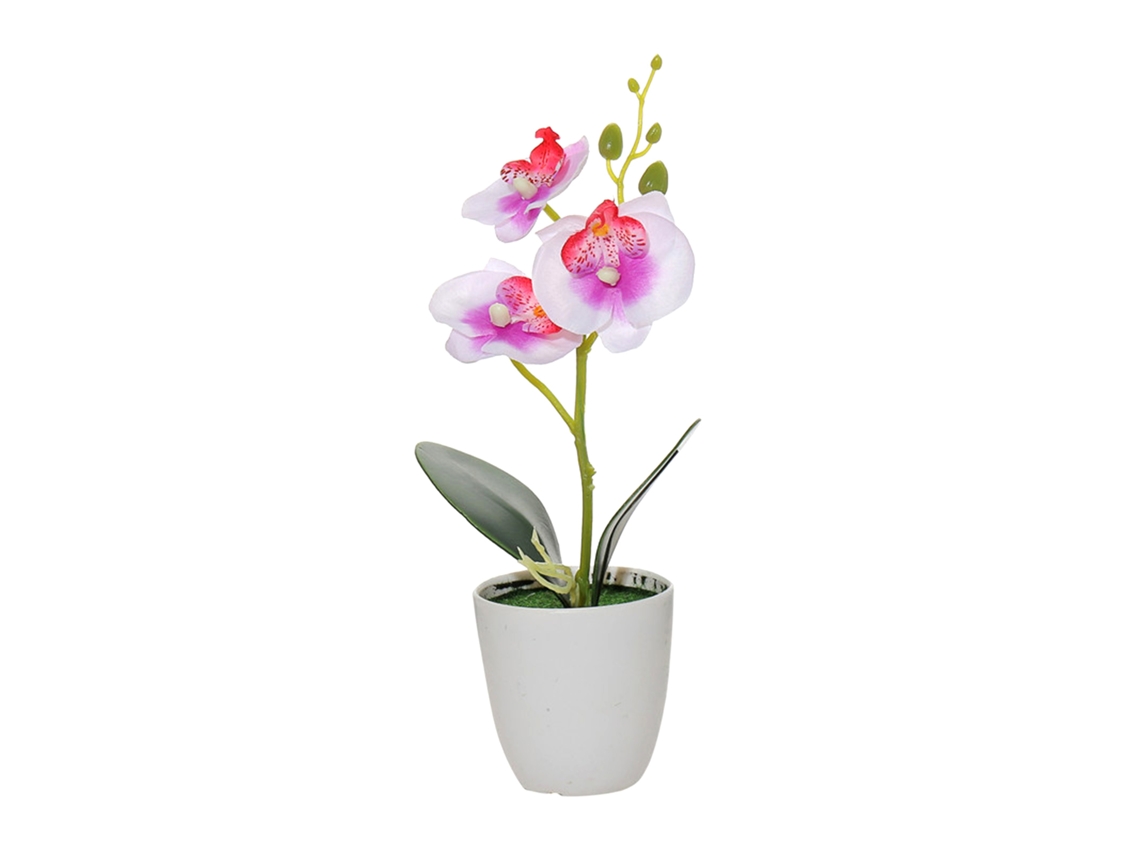 Planta de flor com vaso Phalaenopsis com 3 flores para decoração LAXISCREED