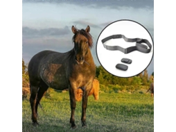 Monitor De Frequência Cardíaca E Atividade De Cavalos Com Cinto Ajustável Para Treinamento E Equitação Jinyubo Store