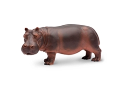 SAFARI Hippopotamus
