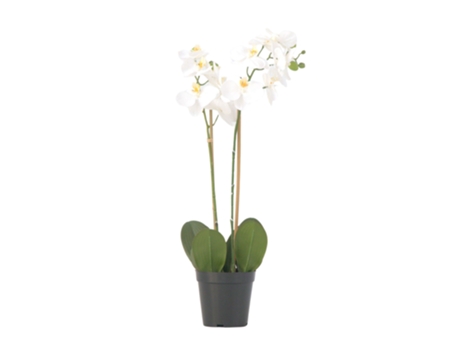 Plantas Artificiais Plant In A Box Phalaenopsis Conjunto De 1 Pote 13cm Altura 55cm