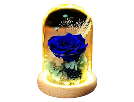 Rosas Artificiais com Luzes Led Domo de Vidro para Presentes Especiais. BAZYWTYH