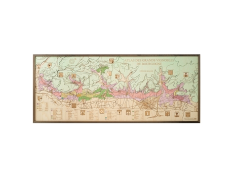 Mapa 3D com Moldura Côte de Beaune Madeira Multicolorido 152X6X61 Cm CUTTING BROTHERS