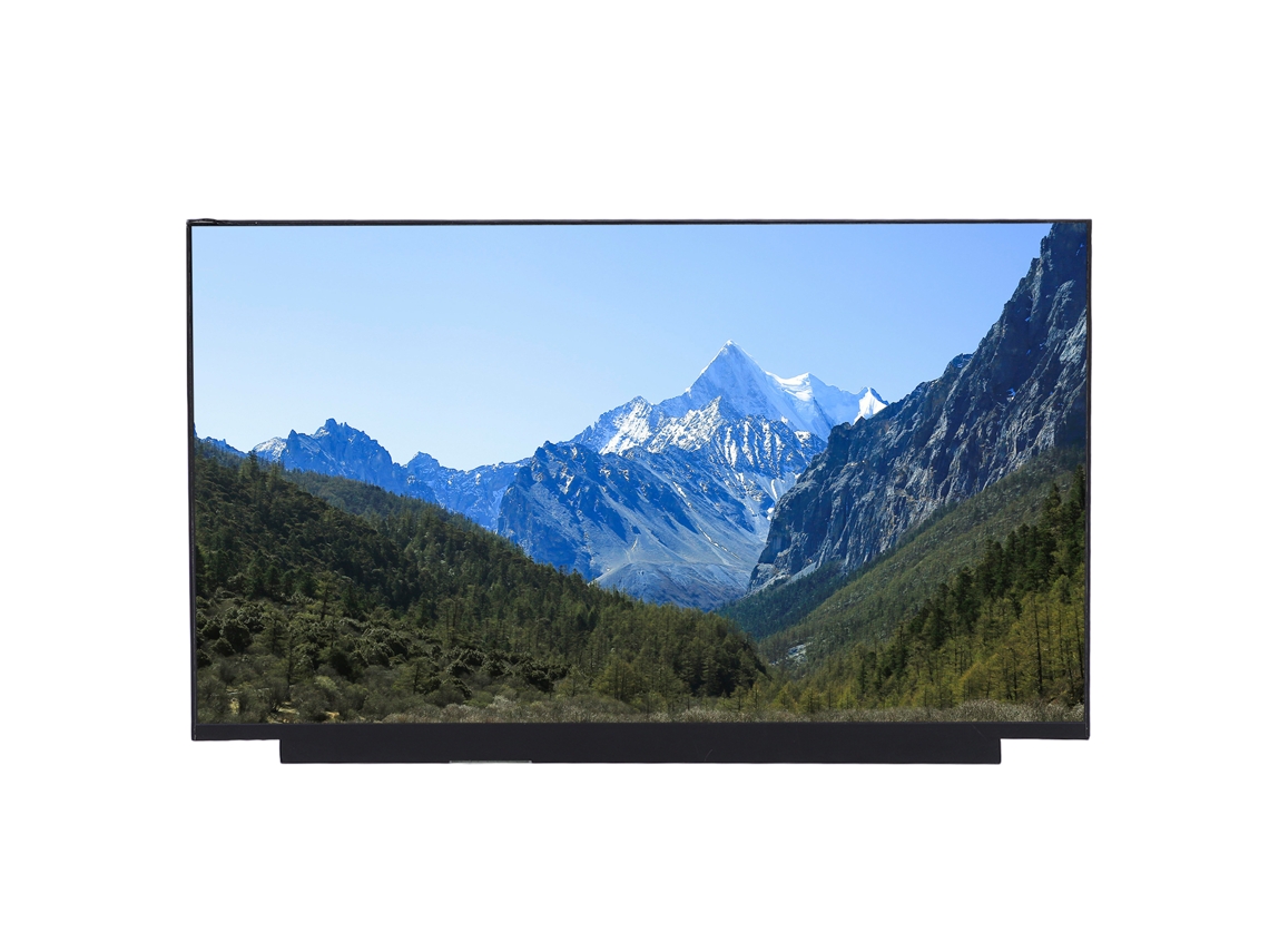Tela Lcd De Notebook (15,6 Polegadas Full Hd 165hz Mate)