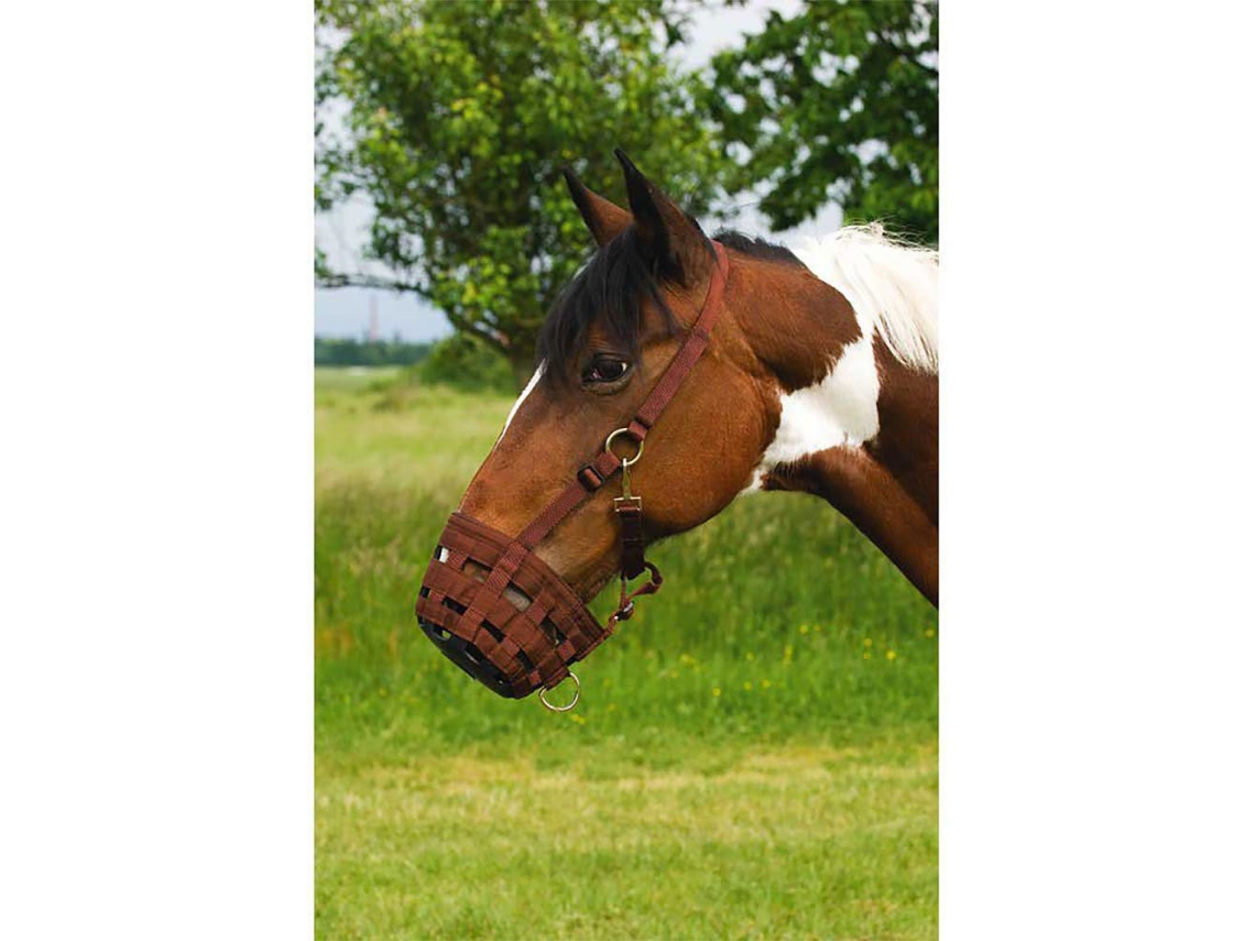Focinho de Cavalo Nylon Verde Cobekkia