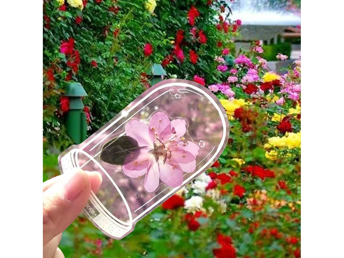 Marcadores De Livro Com Flores Secas Transparentes Caseiros