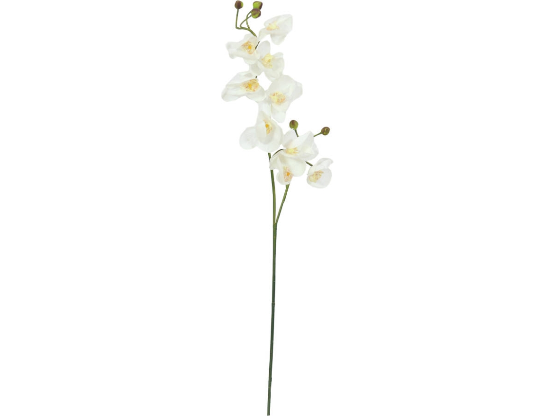 Planta Artificial EUROPALMS Orchid Branch (Branco - 100 cm)