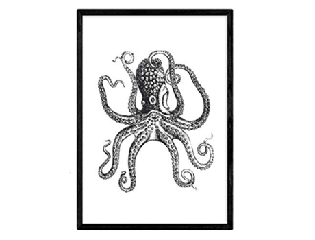 Nacnic Póster NACNIC de Pulpo (A4)