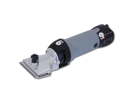 Clipper Prateadowaldhausen