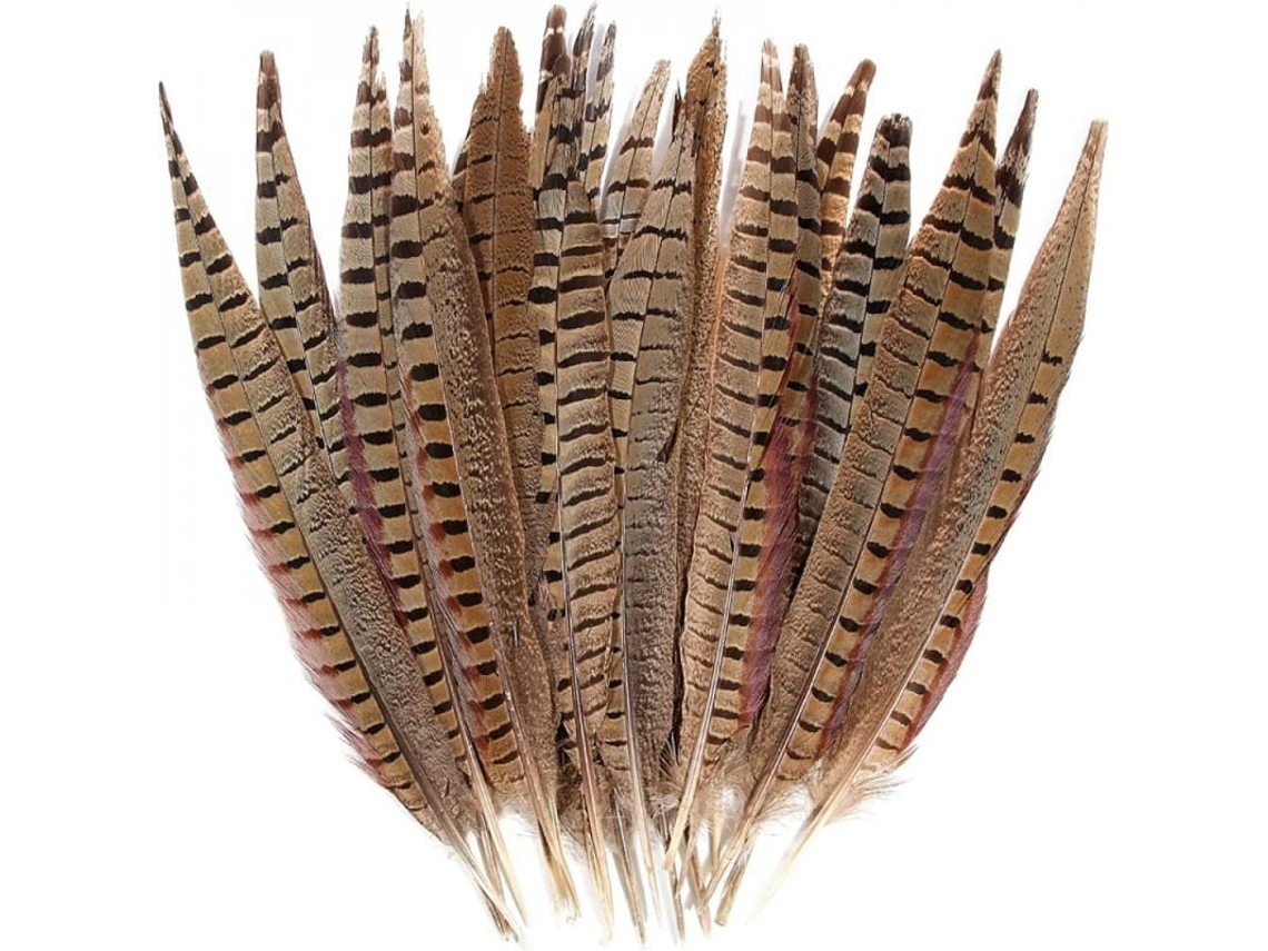 2026-10 Penas De Cauda De Faisão Natural Para Decoração De Casamentos, Centros De Mesa, Joias E Manuais 25-30 Cm (10-12 Polegadas)