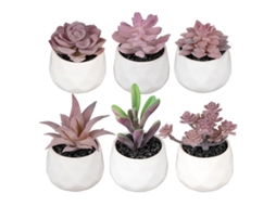 Bacia Cerâmica Branca Com Suculenta Artificial Para Decoração De Escritório, Casa, Quarto E Mesa