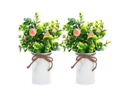 2pcs LAXISCREED Bonsai de Pêssego Decorativo Artificial