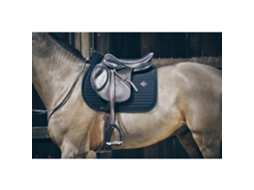Tapetes Cso KENTUCKY Pearls Full