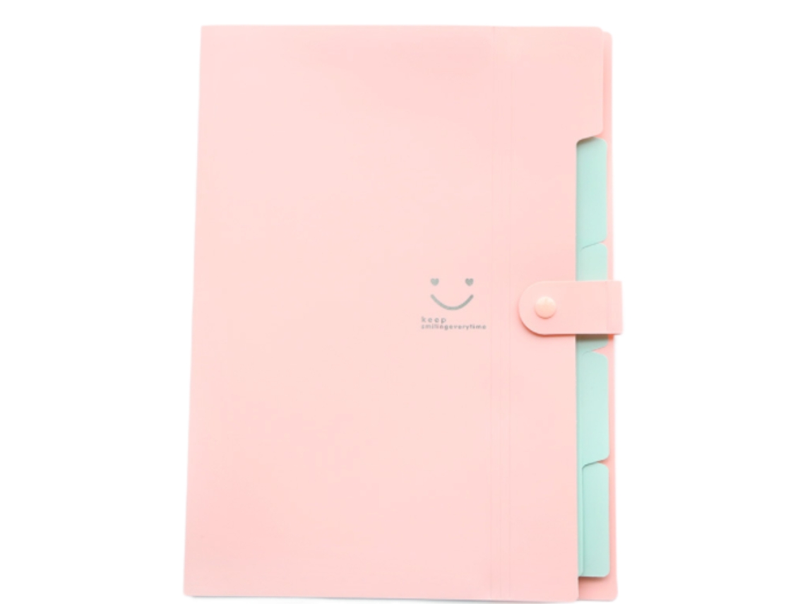 Pasta para Documentos em Pp BRILVIBERA (rosa)
