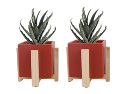 Conjunto De 2 Macetas De Cerámica Com Suporte De Madeira Moderno Interior Exterior Vermelho Quadrado