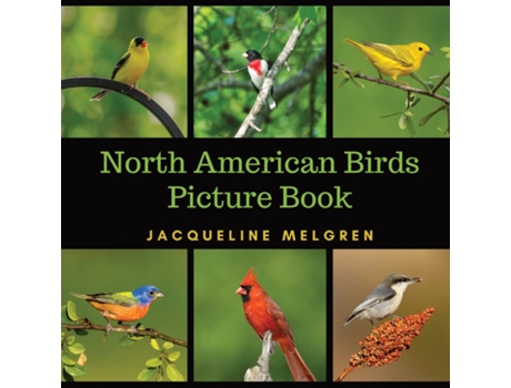 Livro North American Birds Picture Book de Jacqueline Melgren (Inglês)