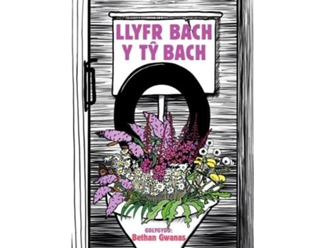 Livro Llyfr Bach y Ty Bach de Bethan Gwanas (Galês - Capa Dura)
