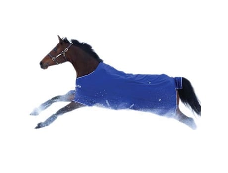Tapete de Aparecimento Hero 900 Medium Azul 145-198 Cmamigo