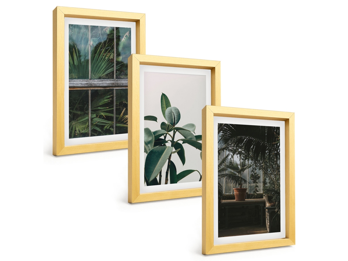 Composição De Quadros Folhas Verdes Na Janela, Plantas Espelharte (3 Peças 20x30 Cm)