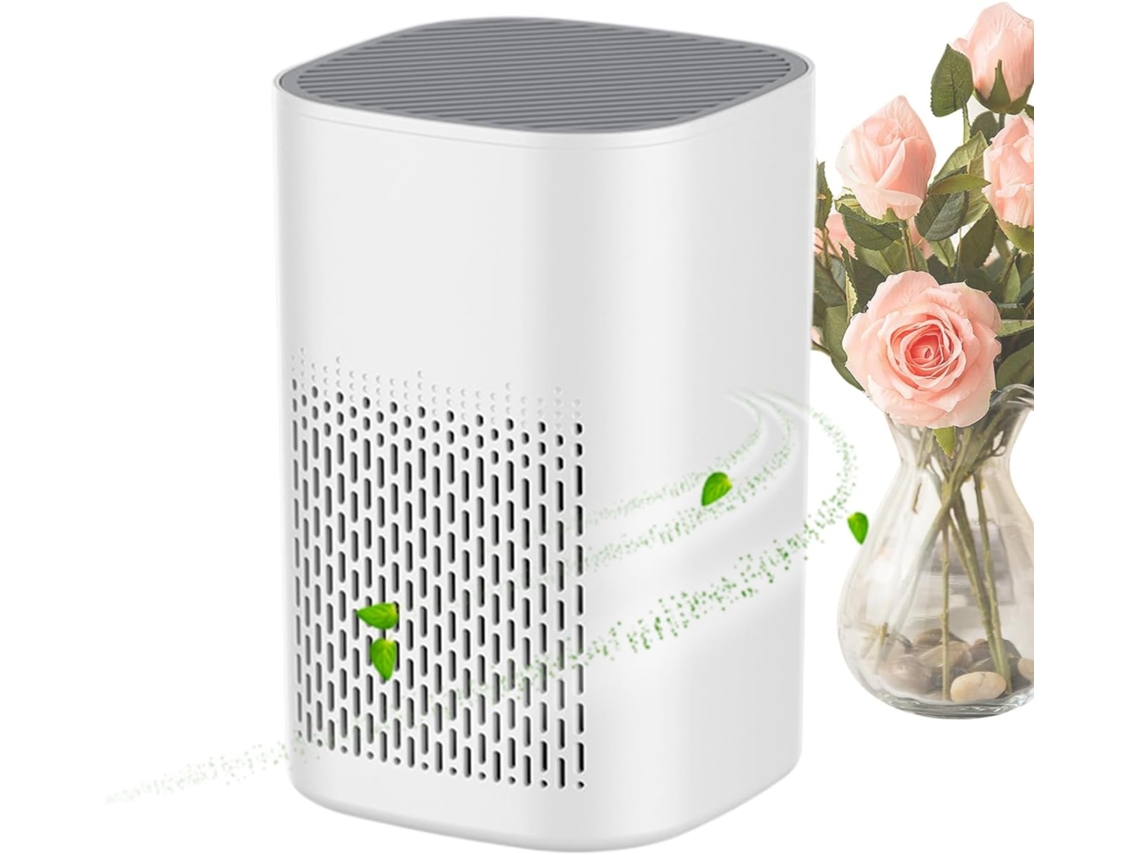 Purificador Ar Compacto Silencioso para Casa/escritório/quarto/cozinha, Elimina Odores/pó/pelos Animais ZYBLSSBB