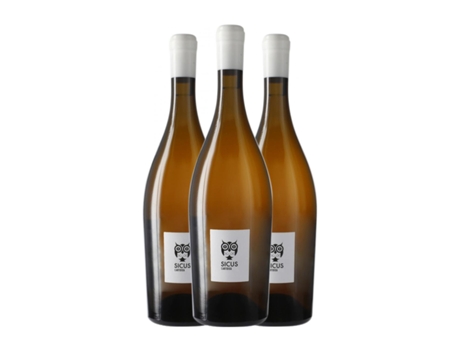 Vinho branco SICUS Cartoixà Àmfora Xarel·lo Penedès (0.75 L - 3 Unidades)
