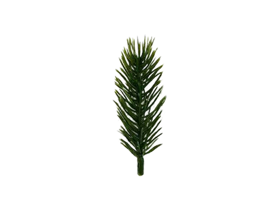 Laxiscreed Pacote Com 20 Bastões De Pinheiro De 8cm Para Decoração E Artesanato