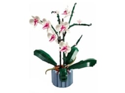 Ats set de Blocos de Orquídea 608 Peças Decoração Residencial Educatsiva Construção Plástico Verde