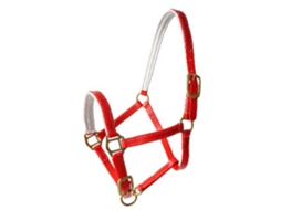 Cabeçada Biothane Vermelho Coblexhis