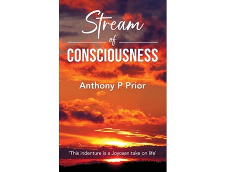 Livro Stream of Consciousness de Anthony P Prior (Inglês)