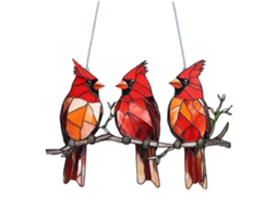 Ornamento de Janela Capturar Luz Coruja Colibri 20cm