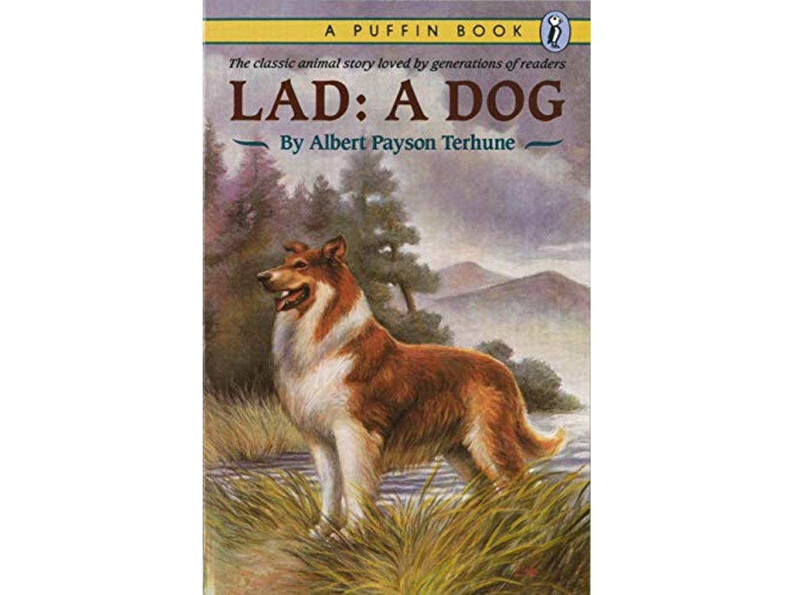 Livro Lad de Albert Payson Terhune (Inglês)