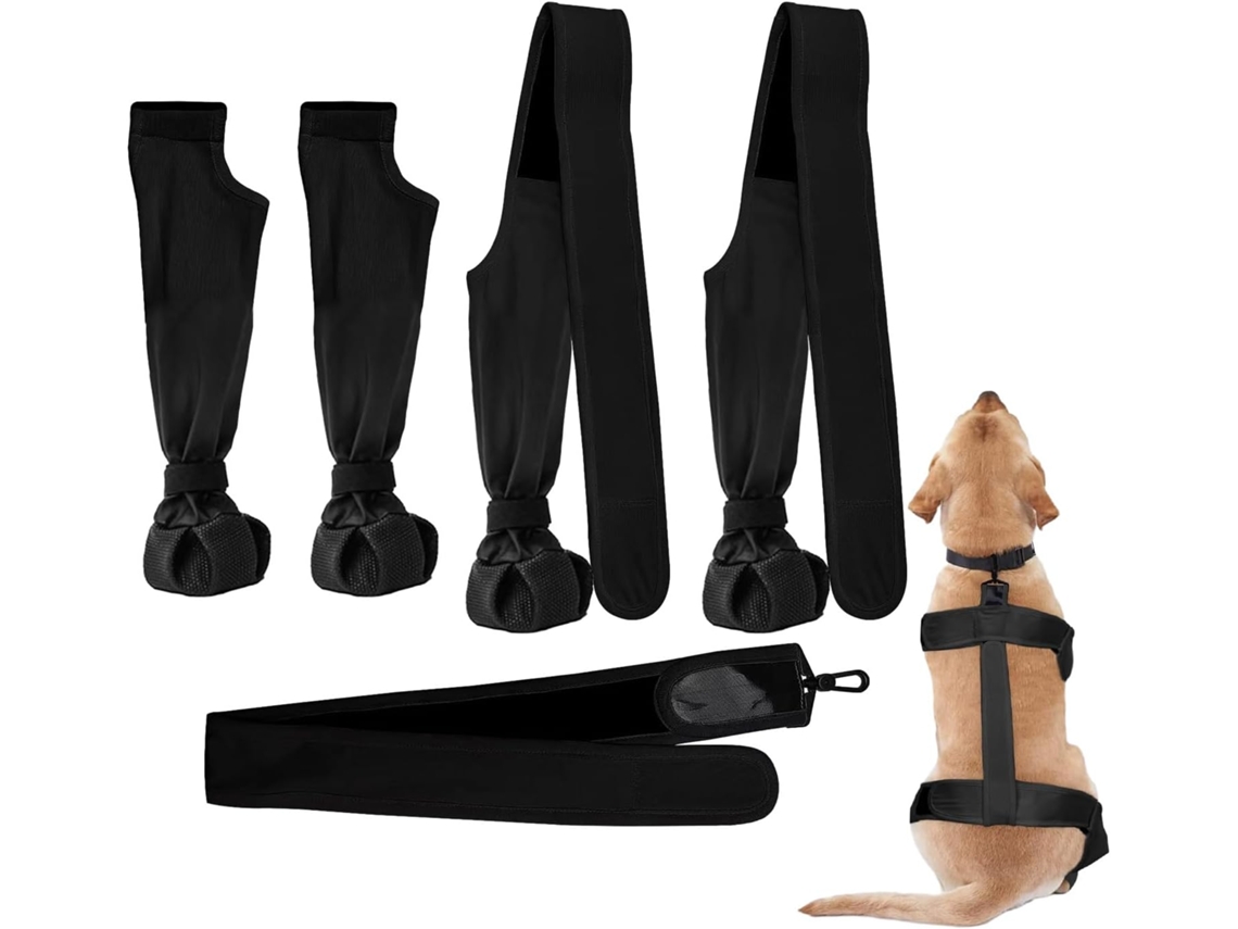 Botas Com Suspensórios Cães, Botas Com Suspensórios Cães